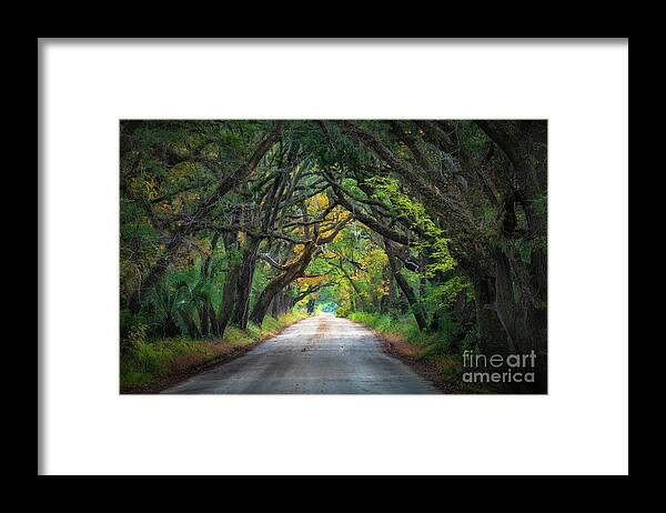 America Framed Print featuring the photograph South Carolina Road by Inge Johnsson