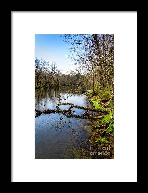 River; Reflection; South Holston; Tennesseee; Northeast Tennessee; Spring; Springtime; Green; Blue; Grass; Tree; Trees; Reflections; Cloud; Clouds; Water; Stream; Tributary; Rock; Rocks; Outdoor Photography Framed Print featuring the photograph South Holston River by Shelia Hunt