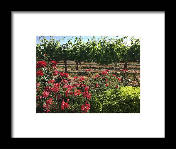 Southcoast Framed Print featuring the painting Southcoast Vines by Roxy Rich