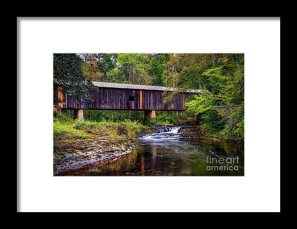 Nature Framed Print featuring the photograph Southern Gem III by DB Hayes