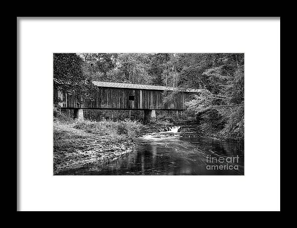 Black And White Framed Print featuring the photograph Southern Gem III in Black and White by DB Hayes