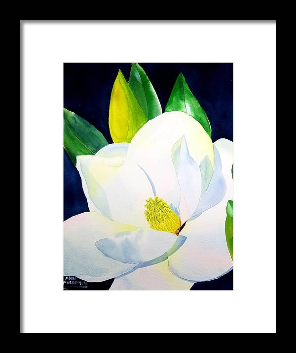 Southern Magnolia Framed Print featuring the painting Southern Magnolia by Ann Frederick