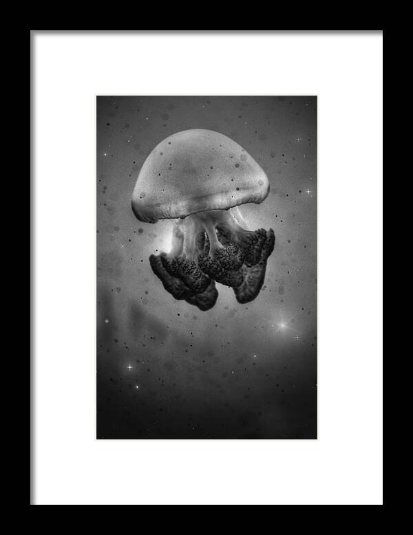 Space Bound Framed Print featuring the photograph Space Bound 2 by Marianna Mills