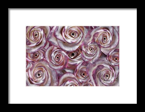 Rose Framed Print featuring the digital art Space Roses by Mehran Akhzari