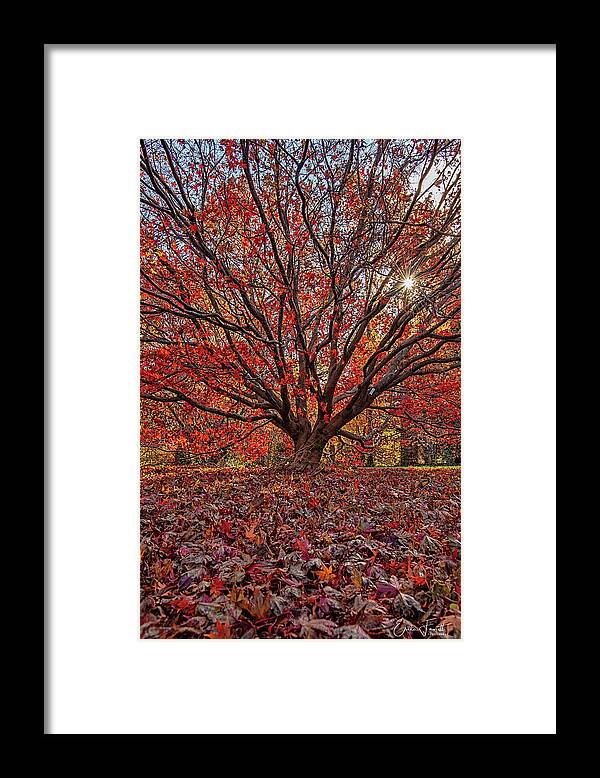 Sparkle Framed Print featuring the photograph Sparkle of Fall by Erika Fawcett