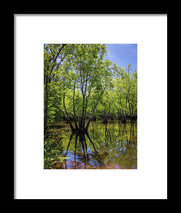 2022 Framed Print featuring the photograph Sparkleberry Landing-1 by Charles Hite