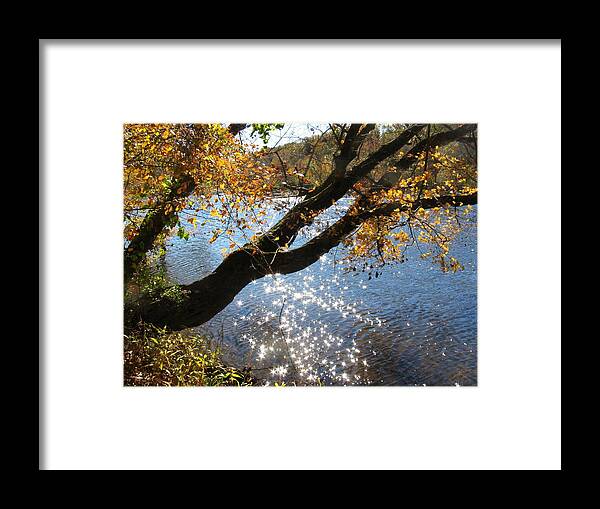 Haw River Framed Print featuring the photograph Sparkling River by Shirley Galbrecht