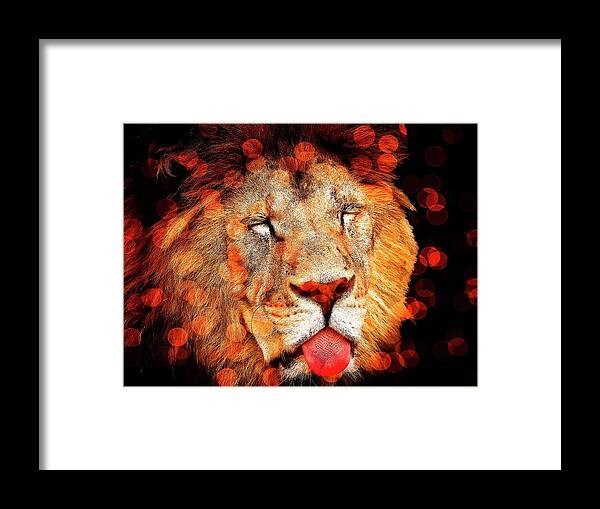 Beautiful Framed Print featuring the photograph Sparkly Majestic Lion by Michelle Liebenberg