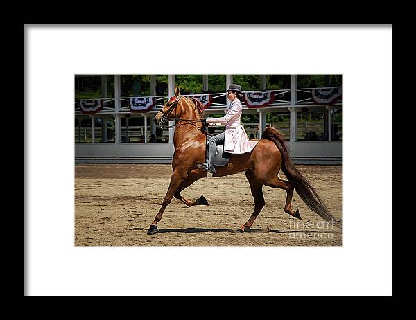 American Framed Print featuring the photograph Spectacular Beauty by Amy Dundon