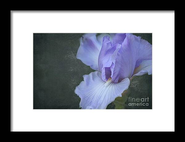 Iris Framed Print featuring the digital art Spectacular Iris Texture by Amy Dundon
