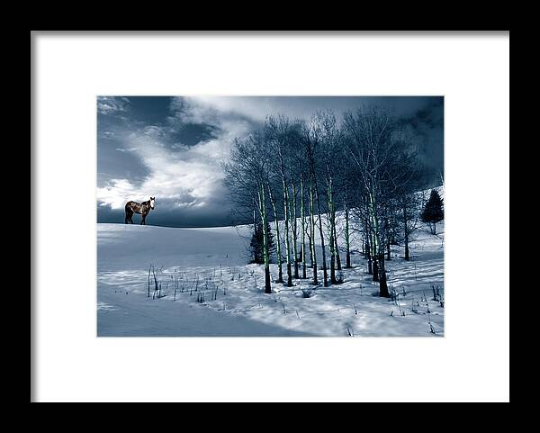 Spirit Framed Print featuring the photograph Spirit Pony in Aspen by Wayne King