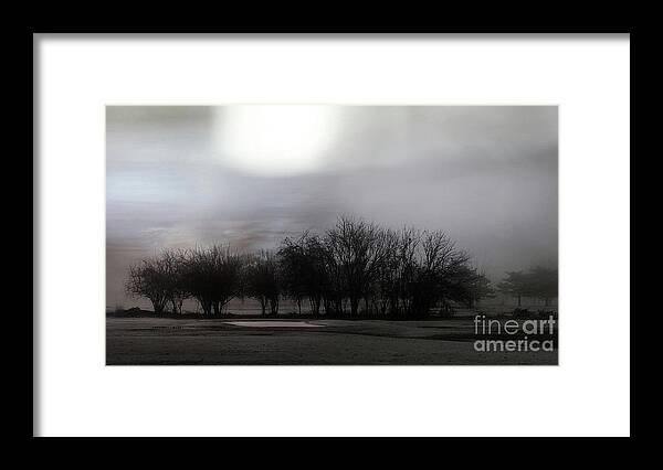 Spirit Framed Print featuring the photograph Spirit Trees by Terry Rowe