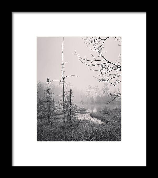 Pond Framed Print featuring the photograph Spooky Pond by Jill Laudenslager
