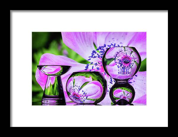 Refraction Framed Print featuring the photograph Spring Celebration by Elvira Peretsman