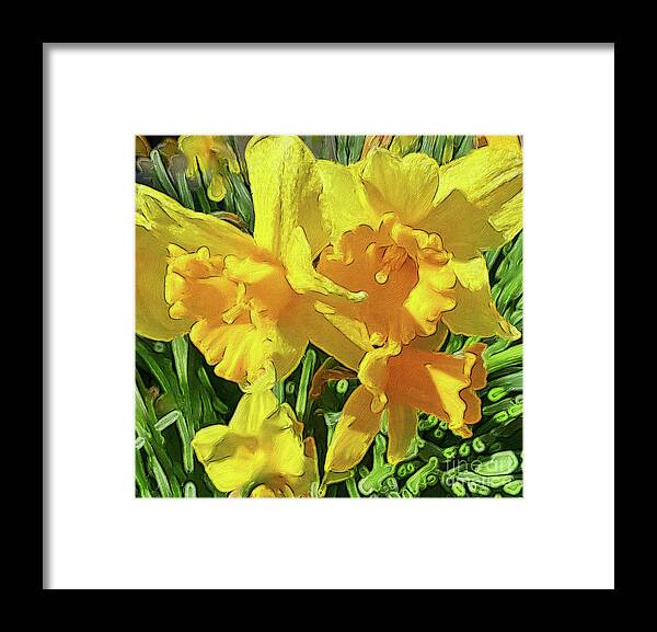 Daffodils Framed Print featuring the photograph Spring Daffodils by Jeanette French