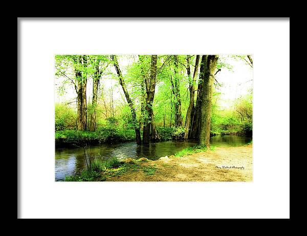 Landscape Framed Print featuring the photograph Spring Dreams by Mary Walchuck
