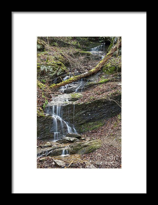 Tennessee Framed Print featuring the photograph Spring Fed Waterfall by Phil Perkins