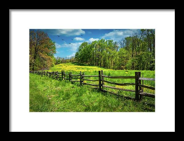 North Carolina Framed Print featuring the photograph Spring Flowers and Blue Skies by Dan Carmichael