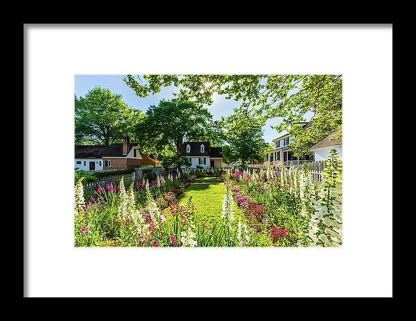Colonial Williamsburg Framed Print featuring the photograph Spring Flowers in May at the Taliaferro-Cole Garden by Rachel Morrison