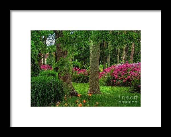 Flower Framed Print featuring the photograph Spring Gardens by Shelia Hunt
