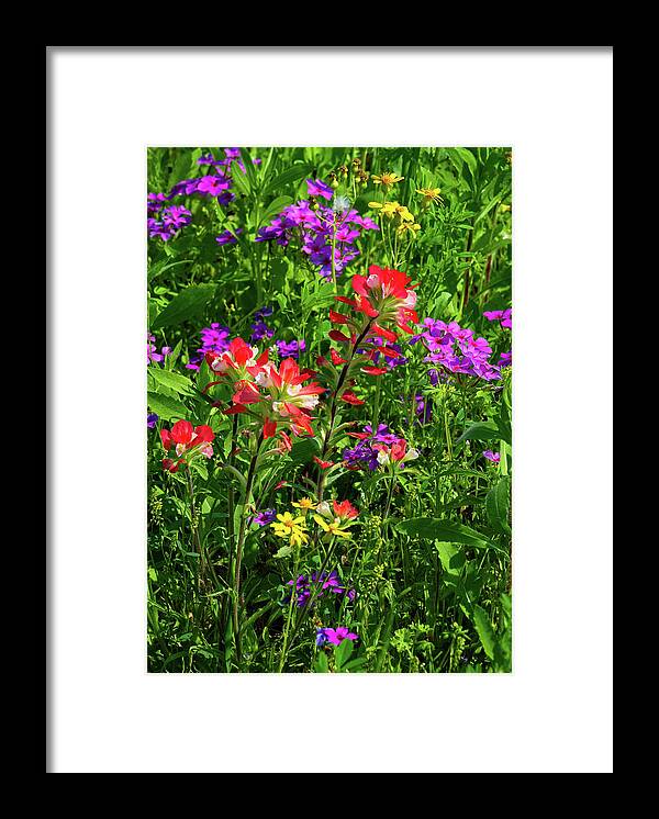 Texas Wildflowers Framed Print featuring the photograph Spring Gems by Lynn Bauer