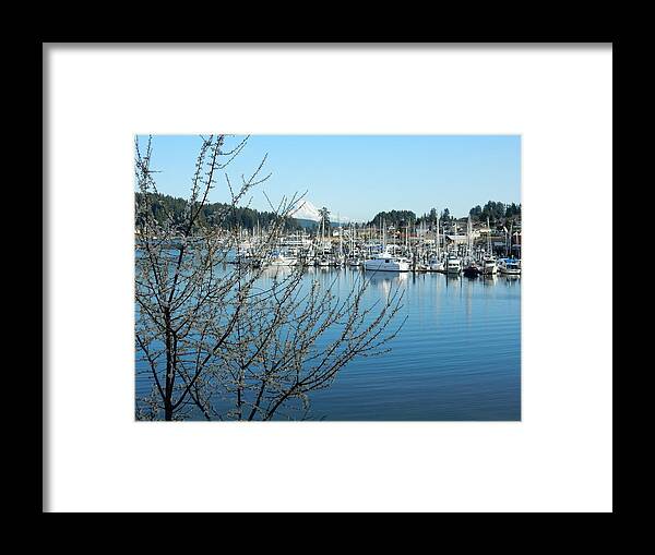 Harbor Framed Print featuring the photograph Spring in Gig Harbor by Bill TALICH