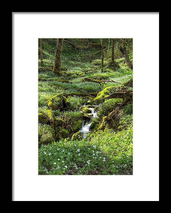 Smoky Mountains Framed Print featuring the photograph Spring in the Smokies by Theresa D Williams