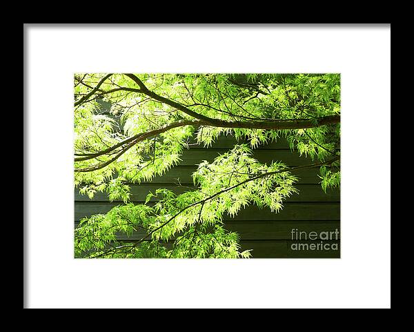 Landscape Framed Print featuring the mixed media Spring Light by Sharon Williams Eng