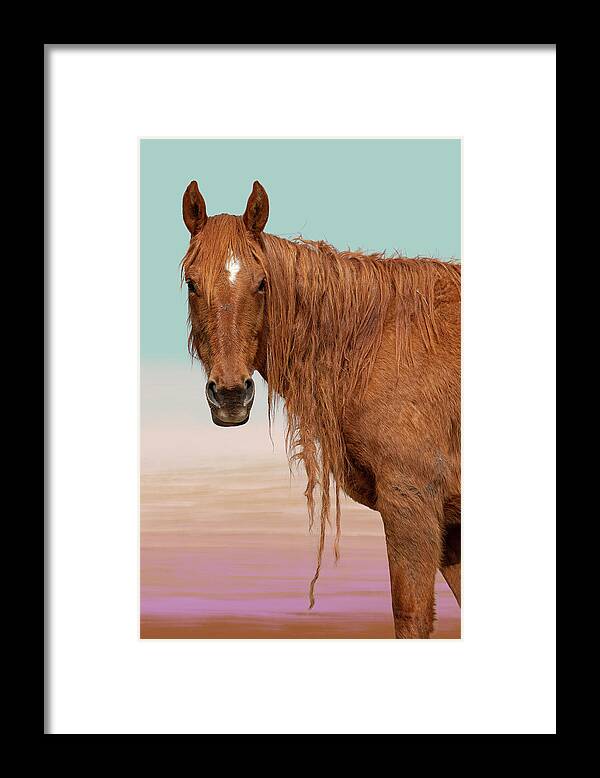 Wild Horses Framed Print featuring the photograph Spring by Mary Hone
