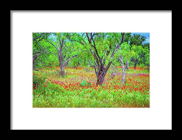 Texas Hill Country Framed Print featuring the photograph Spring Parfait by Lynn Bauer