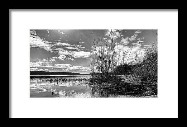 Nature Photography Framed Print featuring the photograph Spring Riverside In Black And White by Aleksandrs Drozdovs