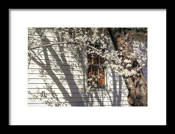 Ranch House Framed Print featuring the photograph Spring Shadows by Donna Kennedy