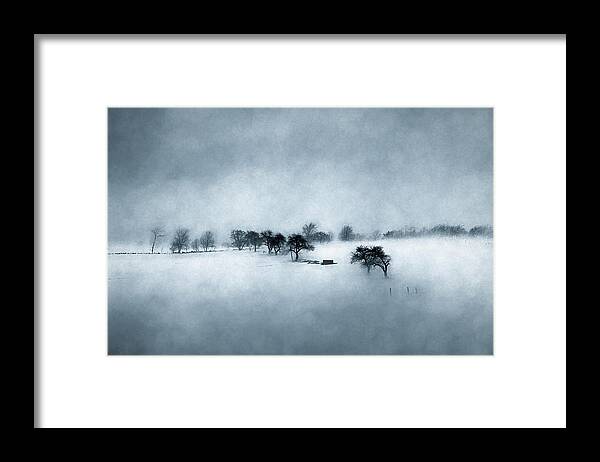 Mist Framed Print featuring the photograph Spring Struggles Forward by Wayne King