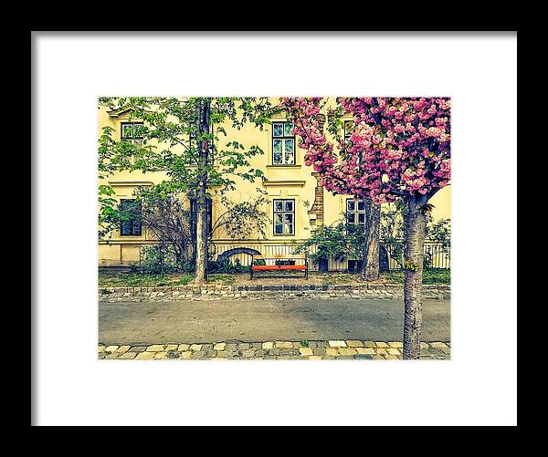 Blossom Framed Print featuring the photograph Spring-time in Budapest by Tito Slack