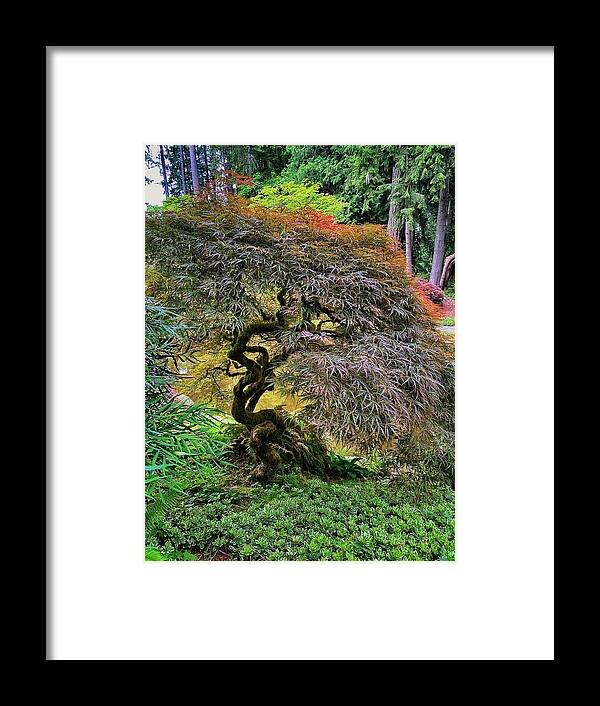 Spring Framed Print featuring the photograph Spring Tranquility by Jerry Abbott
