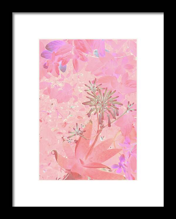 Nature Photography Framed Print featuring the photograph Spring Wash by Asok Mukhopadhyay