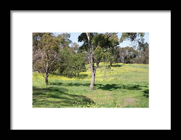 Spring Framed Print featuring the photograph Spring Yellow Carpet by Masami IIDA
