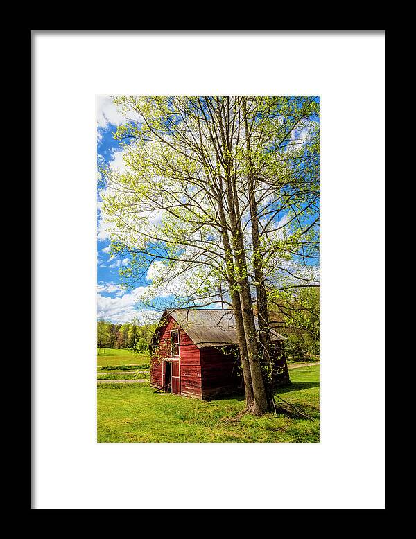 Barns Framed Print featuring the photograph Springtime at the Barn by Debra and Dave Vanderlaan