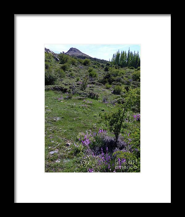 Springtime Framed Print featuring the photograph Springtime in the Sierra Nevada - Spain by Phil Banks