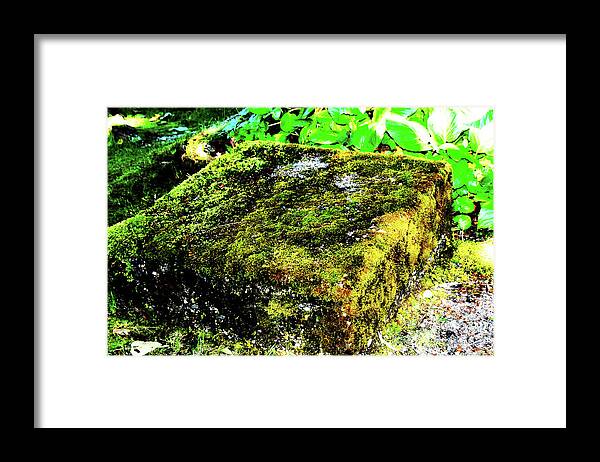 Weird Framed Print featuring the photograph Square Root by Simone Hester