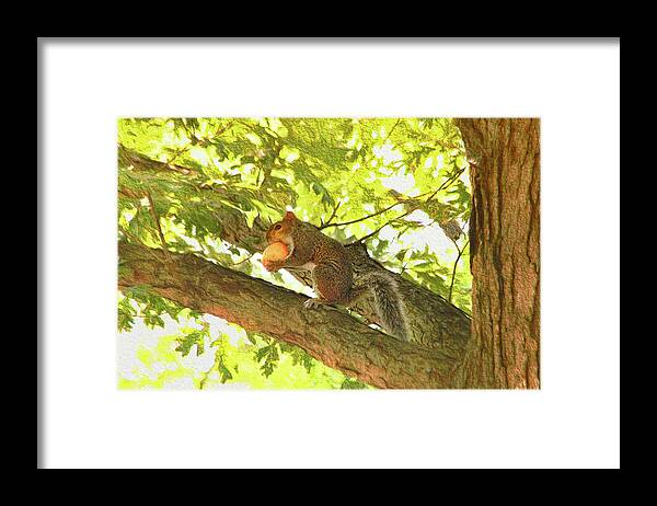 Squirrel Framed Print featuring the photograph Squirrel With Peach by Ola Allen