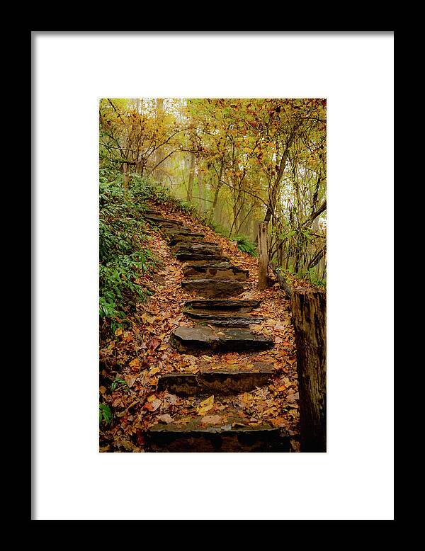 Nature Framed Print featuring the photograph Stairs through Autumn Beauty by Cindy Robinson