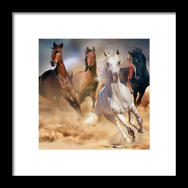 Stampede Framed Print featuring the painting Stampede by Teresa Trotter