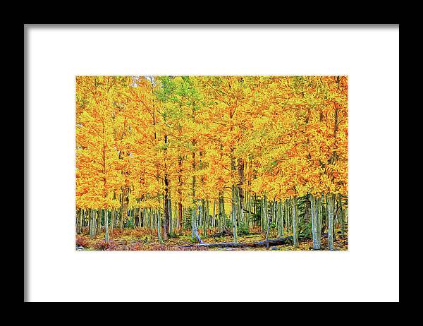 Foliage Framed Print featuring the photograph Stand of Aspens-Digital Art by Steve Templeton