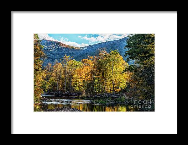 Williams River Framed Print featuring the photograph Standing in the Light by Thomas R Fletcher
