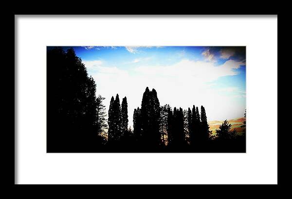 Sunset Framed Print featuring the photograph Standing tall I'm the sunset by Shalane Poole