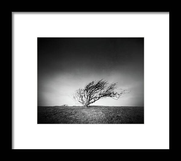 Pinhole Framed Print featuring the photograph Standing the test of time. by Will Gudgeon