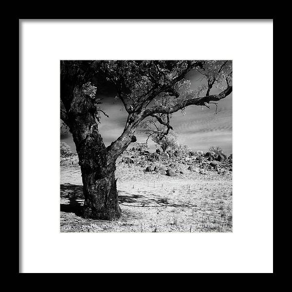Drought Framed Print featuring the photograph Stark 1 by Russell Brown