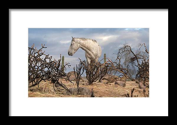 Stallion Framed Print featuring the photograph Stark Desert. by Paul Martin