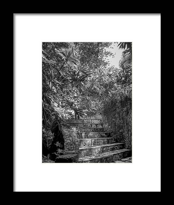 Chichen Itza Framed Print featuring the photograph Steps Near Cenote Chichen Itza by Frank Mari